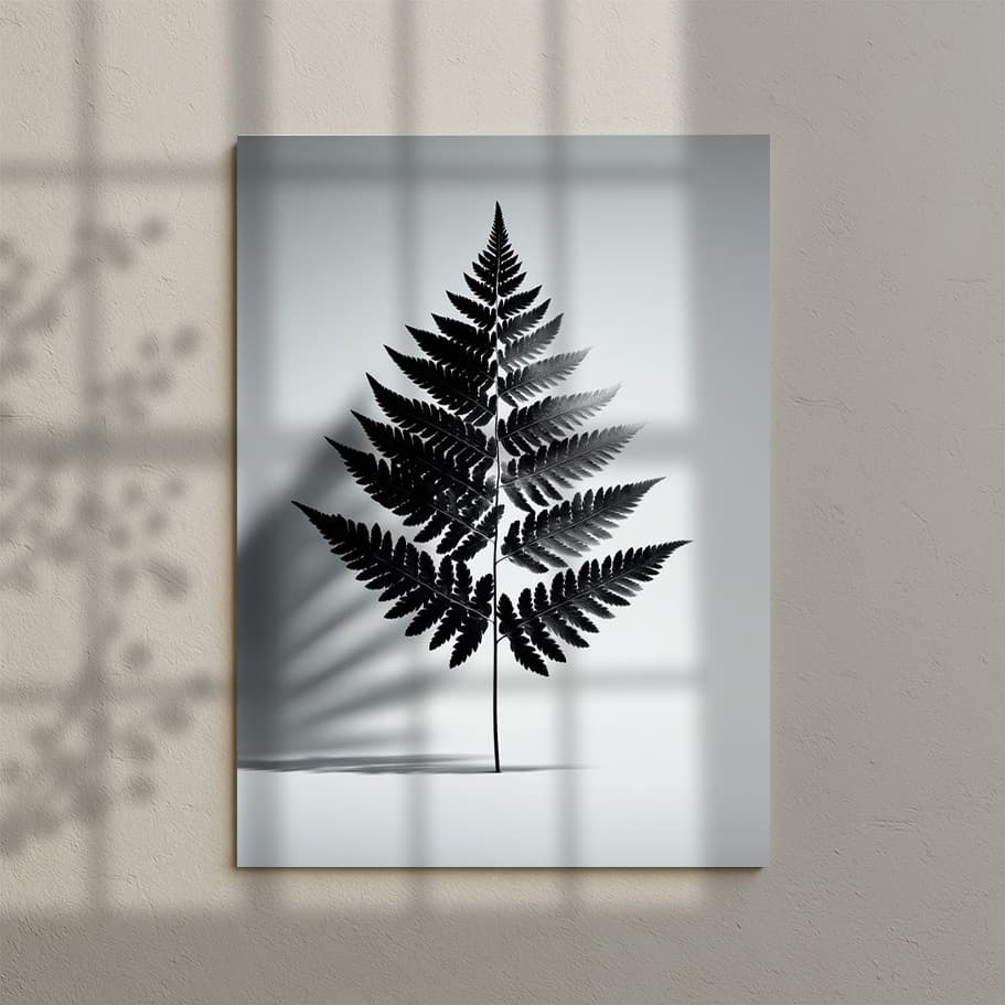 Siyah Beyaz Posterler