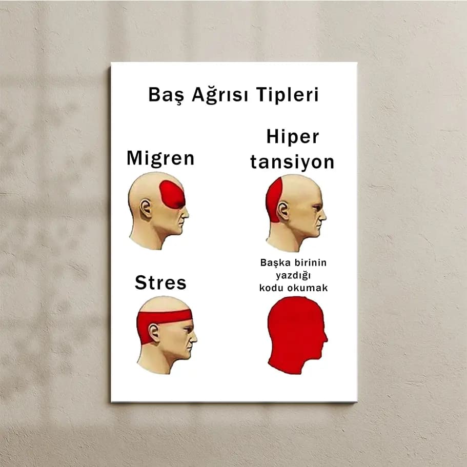 Baş Ağrısı Tipleri – “Başkasının Kodunu Okumak” Komik Yazılımcı Posteri