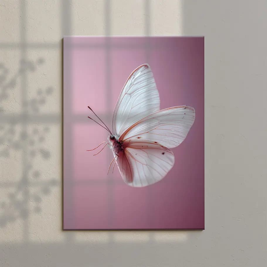 embe Fon Üzerinde Beyaz Kelebek Poster