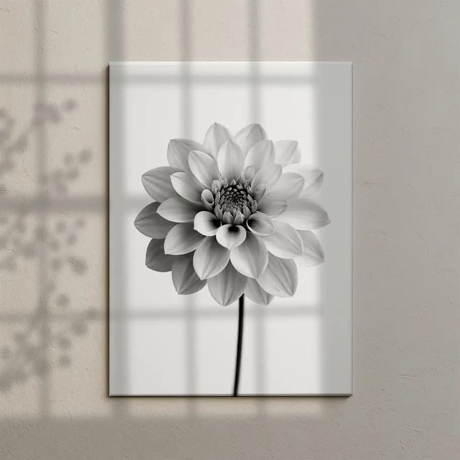 Siyah Beyaz Çiçek Tablo Posteri